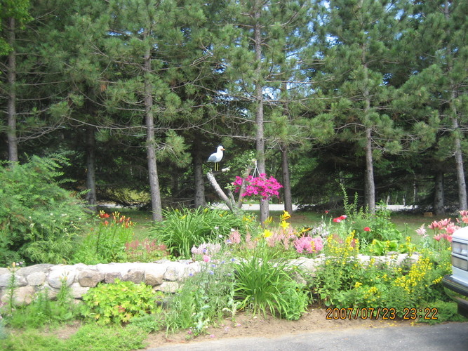 Garden Tour & Silent Auction - 2007