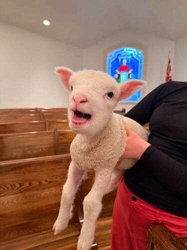 2026 Easter Sunday...